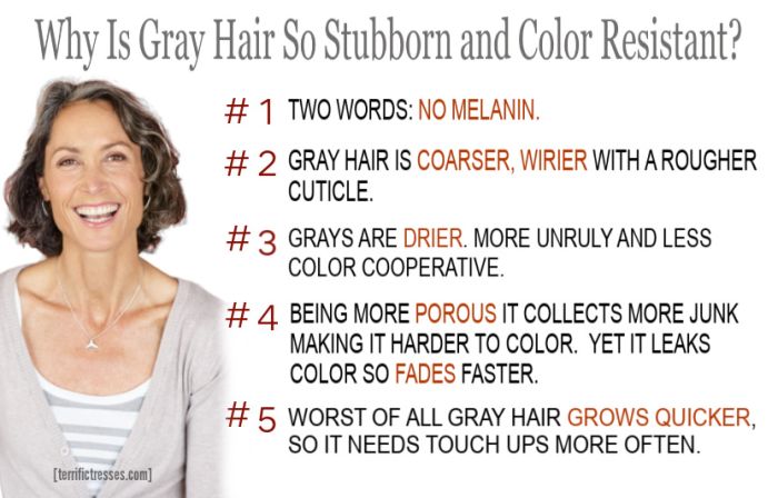 How To Color Resistant Gray Hair At Home Successfully Yourself