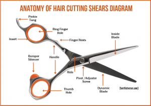 What Kind Of Scissors Are Best To Cut Hair At Home?